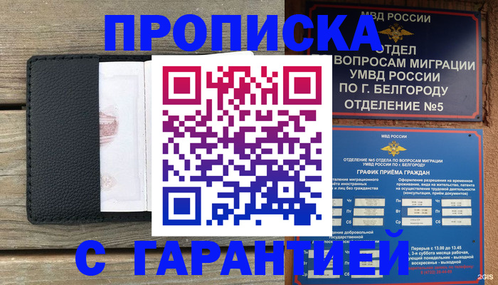 временная регистрация для всех в Луге